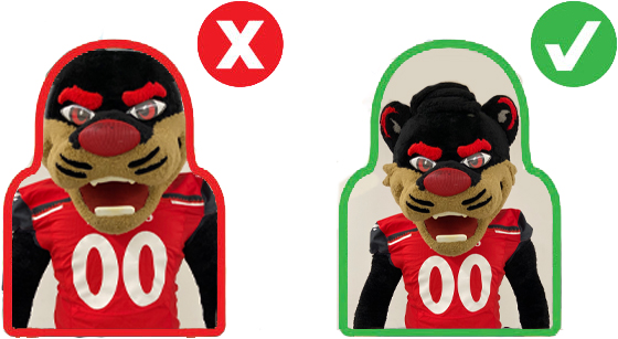 Fan Cutouts Photo Example
