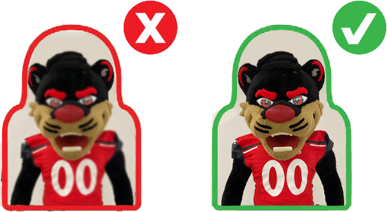 Fan Cutouts Photo Example