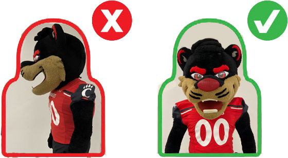 Fan Cutouts Photo Example